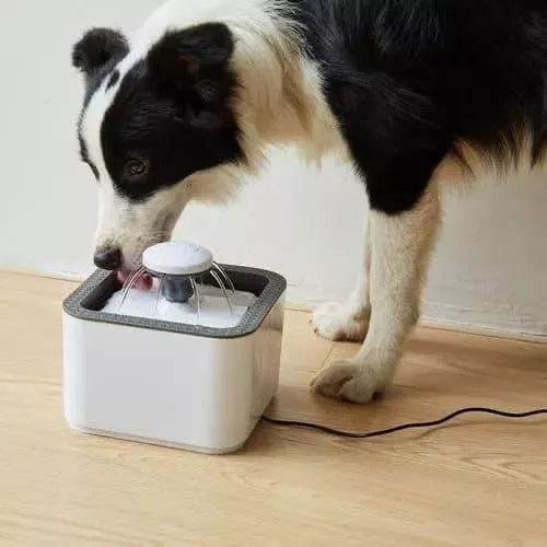 Fuente de Agua mascota