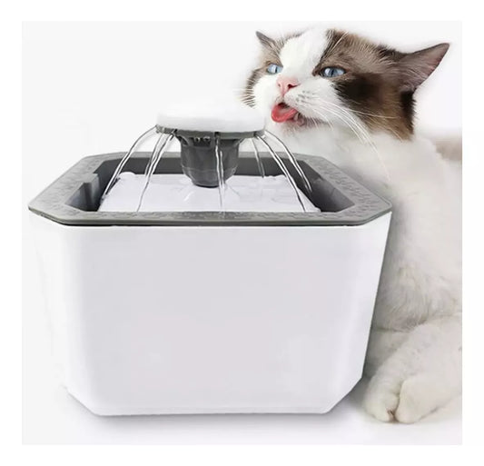 Fuente de Agua mascota