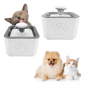 Fuente de Agua mascota